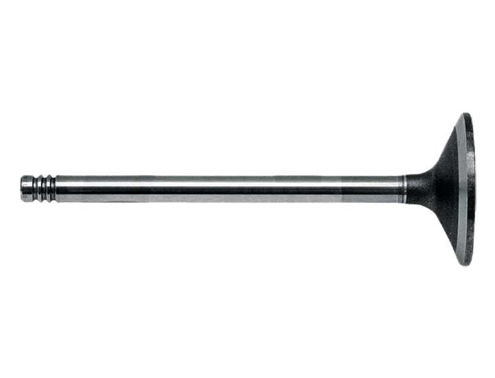 4255883 L68.5026 Deutz Engine Valve