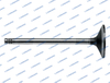 4255883 L68.5026 Deutz Engine Valve