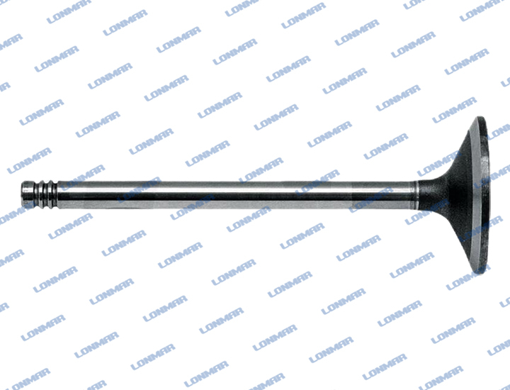 4255883 L68.5026 Deutz Engine Valve