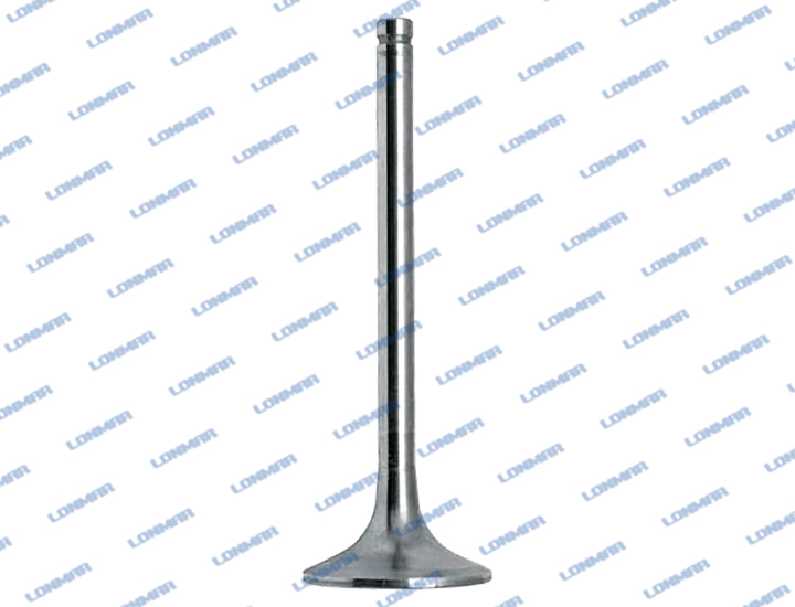 0.010.6022.0 L68.5018 Deutz-Fahr Engine Valve