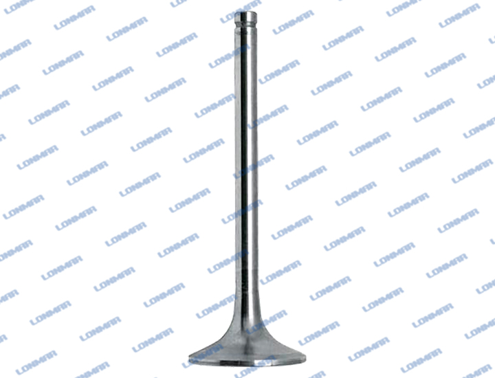 0.010.6022.0 L68.5018 Deutz-Fahr Engine Valve