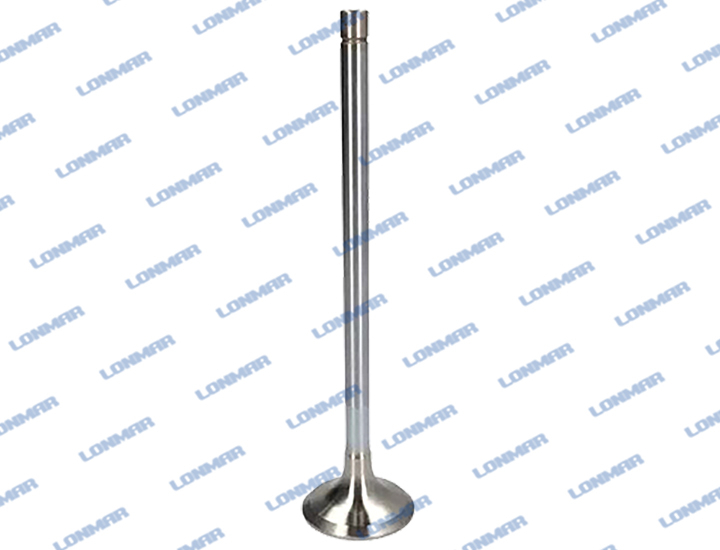 500355780 L68.4901 New Holland Engine Valve