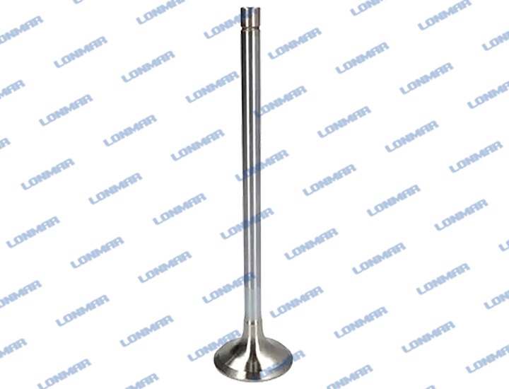 500355780 L68.4901 New Holland Engine Valve