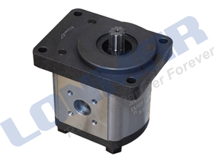 L73.0294 020556T1 020556 Hydraulic Pump used for Massey Ferguson 295 297 610 620