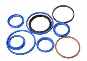 Seal Ring Repair Kit2