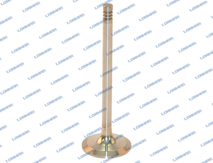 4291386 L68.5016 Deutz-Fahr Engine Valve