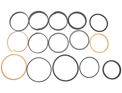 Seal Ring Repair Kit4