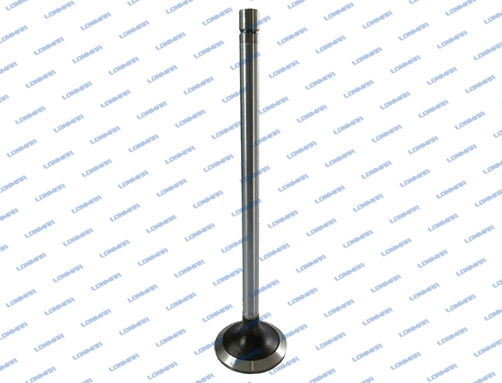 500355778 L68.4900 New Holland Engine Valve