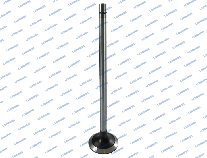 500355778 L68.4900 New Holland Engine Valve