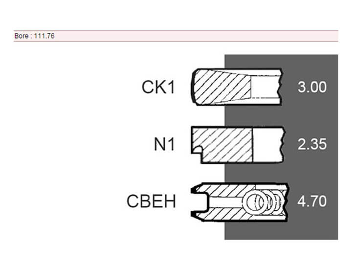 Fiat Tractor Parts Piston Ring China Wholesale