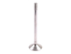 Fiat Tractor Parts Engine Valve China Wholesale
