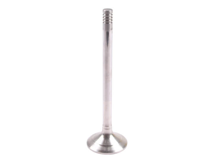 Fiat Tractor Parts Engine Valve China Wholesale