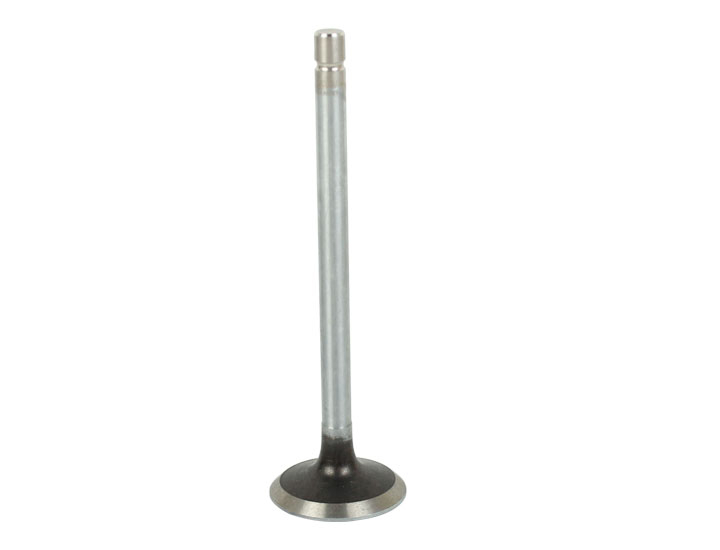 Fiat Tractor Parts Engine Valve China Wholesale