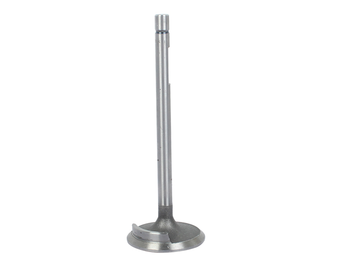 Fiat Tractor Parts Engine Valve China Wholesale