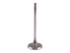 Massey Ferguson Tractor Parts Engine Valve China Wholesale