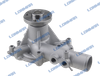 Yanmar Water Pump