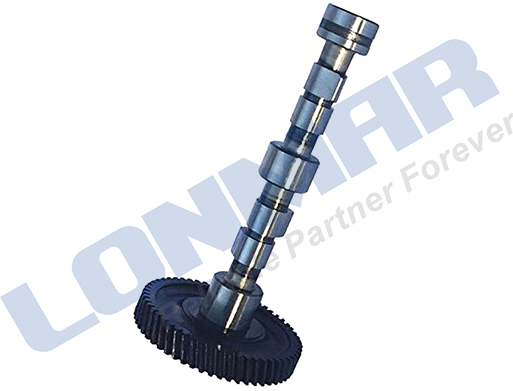 LM07.0119 Deutz Camshaft
