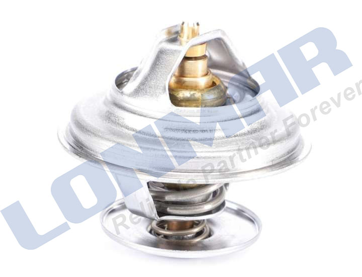 F119202050030 Thermostat Fits for Fendt tractor parts