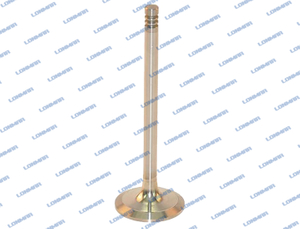 4289801 L68.5017 Deutz Engine Valve