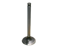 Massey Ferguson Tractor Parts Engine Valve New Type