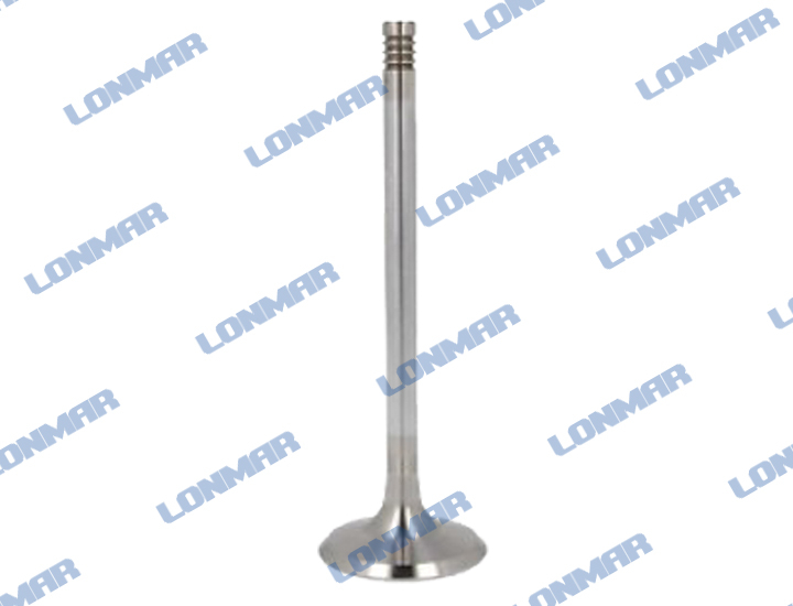 L68.2052 Deutz Engine Valve 1012E