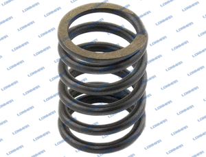 SBA198216700 L68.5205 New Holland Valve Spring