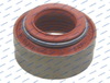 40101874 L68.4907 New Holland Valve Stem Seal