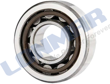 L81.0788 48170182,7301970,28102110,47126933,5128935 Cylindrical Roller Bearing used for Case IH Tractor CX50,CX60,CX70,CX80,CX90,Farmall 100M,Farmall 105U,Farmall 110 U