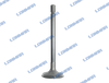 Perkins Tractor Parts Engine Valve New Type