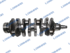 Case New Holland Crankshaft