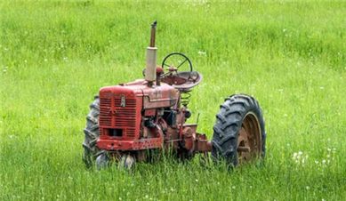 Maintenance of main components of tractor clutch