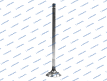 504368419 L68.4910 FPT Engines Engine Valve