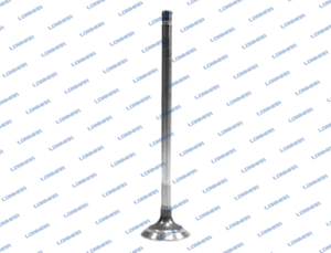 504368419 L68.4910 FPT Engines Engine Valve