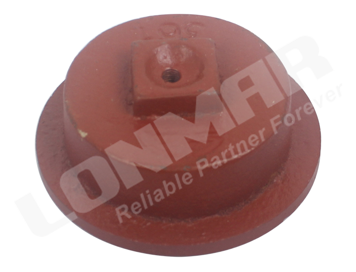 LM02.0520 Massey Ferguson Wheel Hub Cap