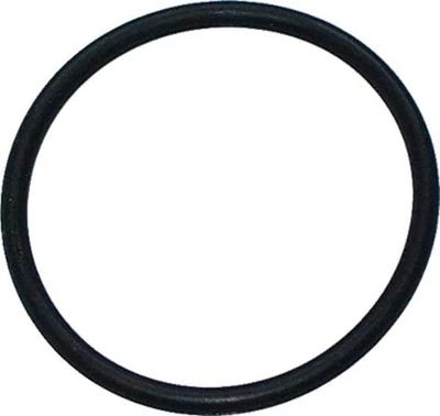 L73.1649 Massey Ferguson Seal Ring