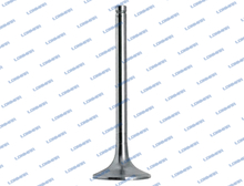 0.010.6022.0 L68.5018 Deutz-Fahr Engine Valve