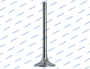 0.010.6022.0 L68.5018 Deutz-Fahr Engine Valve