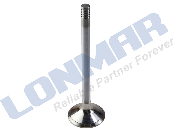 L68.7745 87802019 87802256 87802260 87802268 Engine Valve used for Ford New Holland 1089 1095 2450 2550 3230 3430 345C 345D 3930