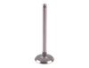 Massey Ferguson Tractor Parts Engine Valve New Type