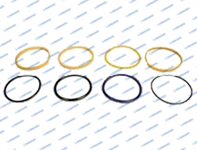 AHC16965 L79.0574 John Deere Seal Ring Repair Kit