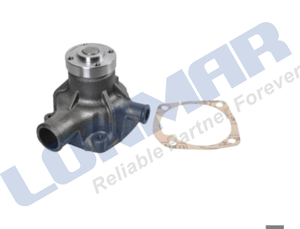 L70.1449 299671A1 1454048 Water Pump used for Case IH C55 C64 C70 CS68 CS75 CS78 CS86