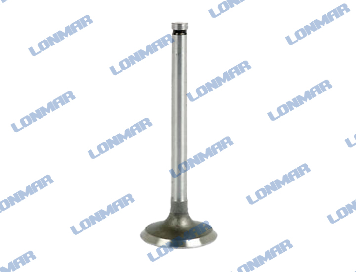 L68.1865 Massey Ferguson Engine Valve