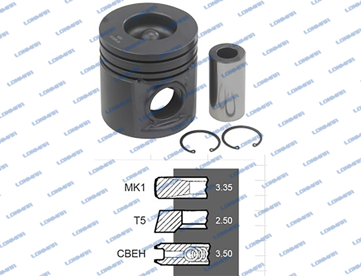 4225019M91+4225072M91 L68.4744 Massey Ferguson Piston With Rings