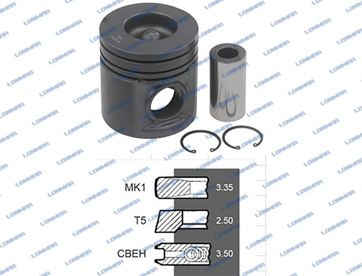 4225019M91+4225072M91 L68.4744 Massey Ferguson Piston With Rings