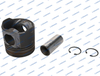 L68.5096 Fendt Piston