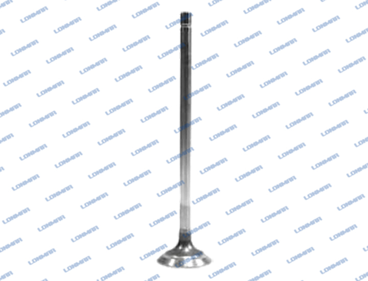 500354685 L68.4914 Case IH Engine Valve