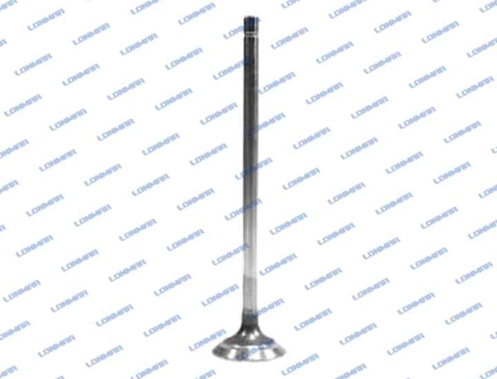 500354685 L68.4914 Case IH Engine Valve