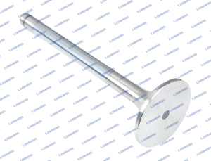 F824200410130 L68.5004 Fendt Engine Valve
