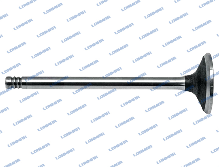 4209111 L68.5027 Deutz Engine Valve