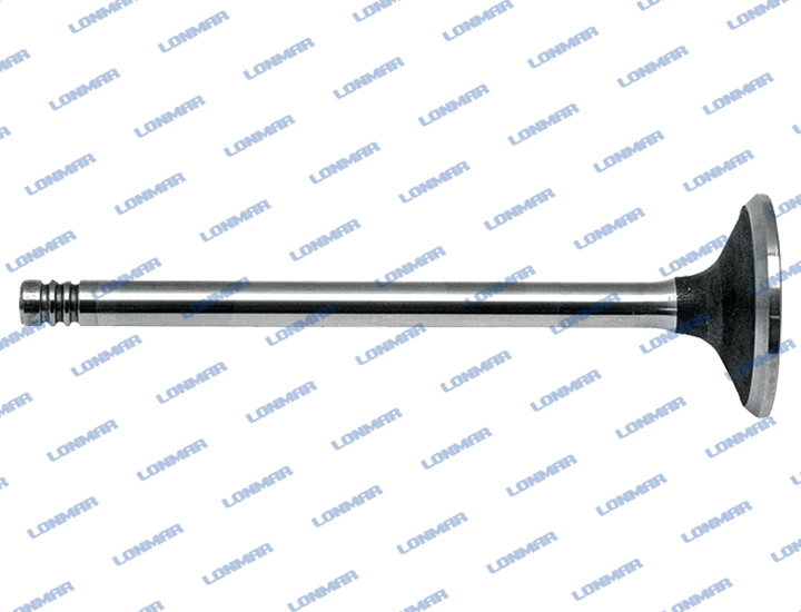 4209111 L68.5027 Deutz Engine Valve